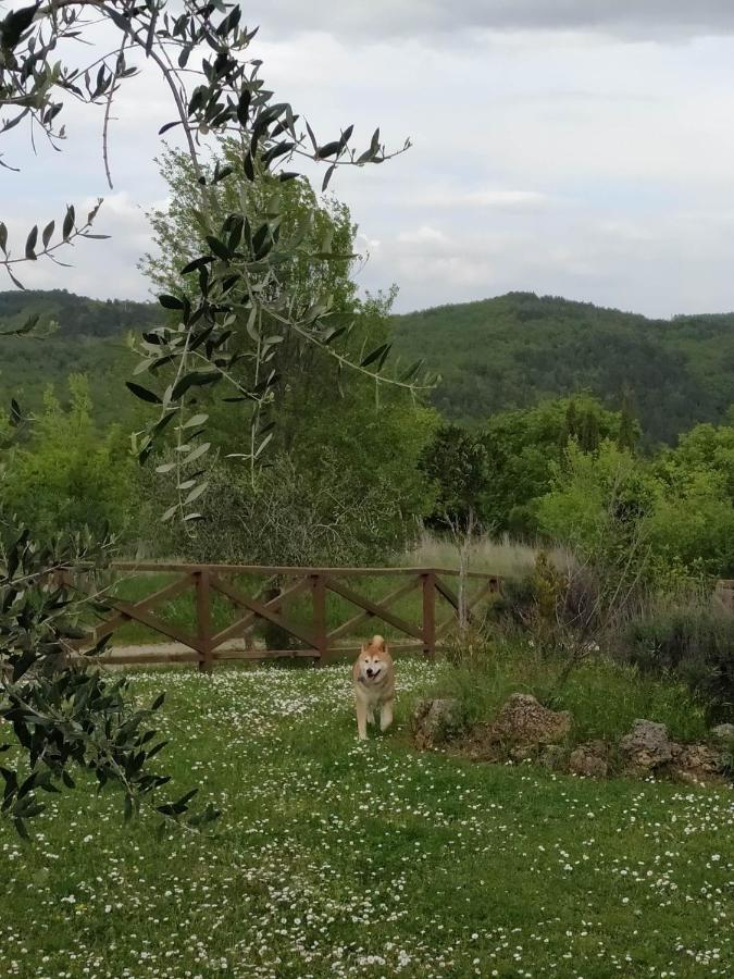 Agriturismo La Provenca Chianciano Terme Exterior foto